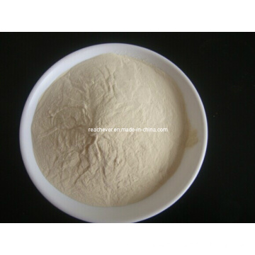 (Chitosan) --Natural Polymer Chitosan